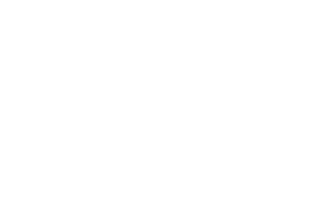 Parcel Safe Place Logo